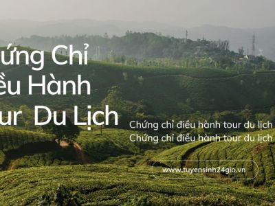 Chứng chỉ điều hành tour du lịch
