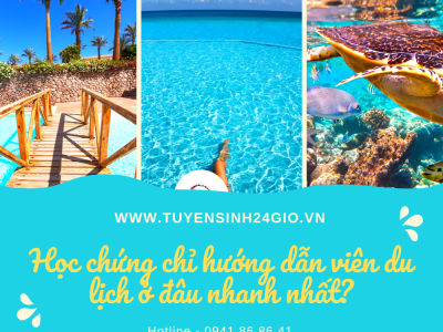 Học chứng chỉ hướng dẫn viên du lịch ở đâu nhanh nhất?