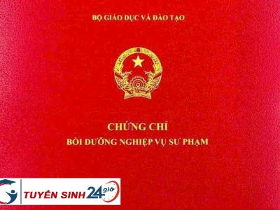 Chứng chỉ giảng dạy đại học, đăng ký học ở đâu ?