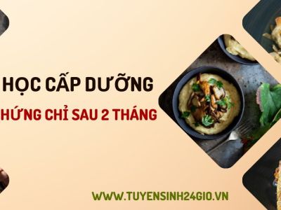 Đào tạo cấp chứng chỉ cấp dưỡng trường mầm non, tiểu học