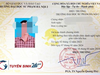 Chuẩn Chức Danh Nghề Nghiệp Giáo Viên Tiểu Học Mới Nhất