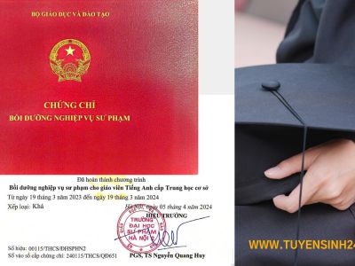 Đào tạo cấp chứng chỉ nghiệp vụ sư phạm giáo viên THCS, THPT