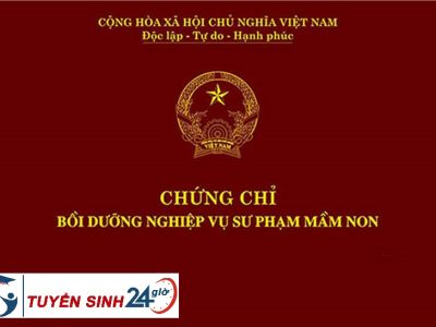 Chứng chỉ mầm non. Khóa đào tạo theo khung chương trình mới nhất