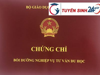  Đối Tượng Tham Gia Khóa Đào Tạo Chứng Chỉ Tư Vấn Du Học