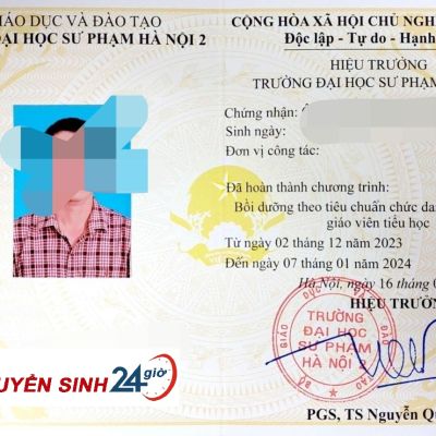 Chuẩn Chức Danh Nghề Nghiệp Giáo Viên Tiểu Học Mới Nhất